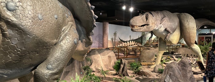 Las Vegas Natural History Museum is one of Vegas family fun.