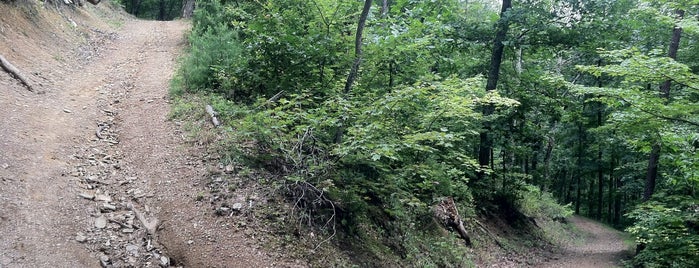 Raven Rock trail is one of Lieux qui ont plu à Char.