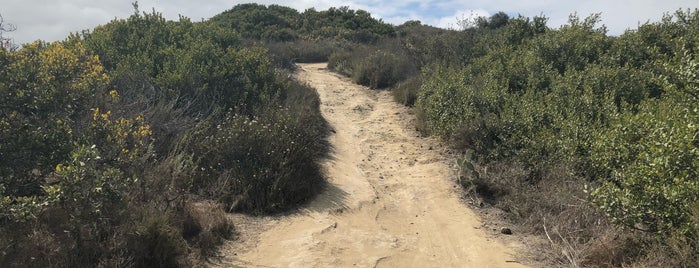 Aliso Woods Trail is one of Locais curtidos por Epic.