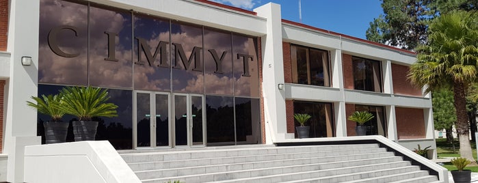 CIMMYT is one of สถานที่ที่ Francisco ถูกใจ.