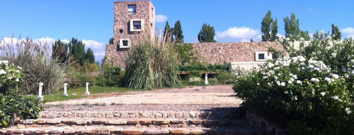 Bodega Renacer is one of Mendoza: Bodegas y Viñedos.