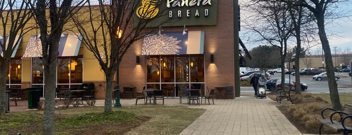 Panera Bread is one of Food.