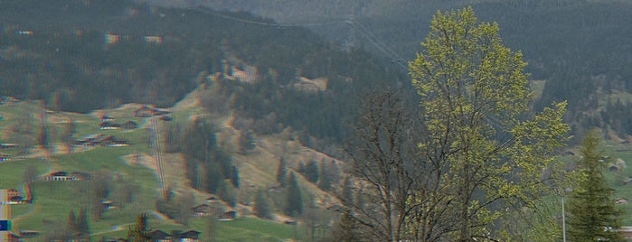 Grindelwald is one of Jungfrau Region.