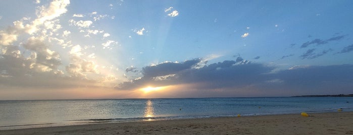 Playa de Punta Candor is one of Posti salvati di Kimmie.