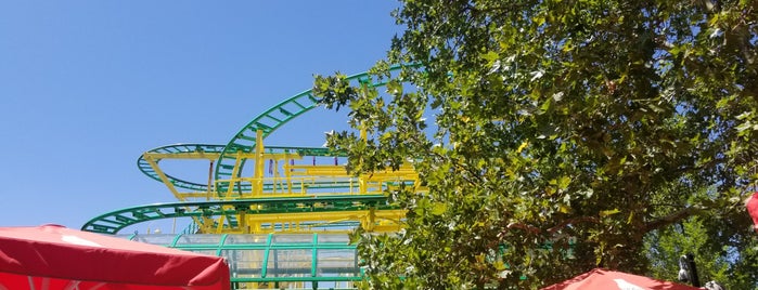 Wild Mouse is one of Lagoon13.