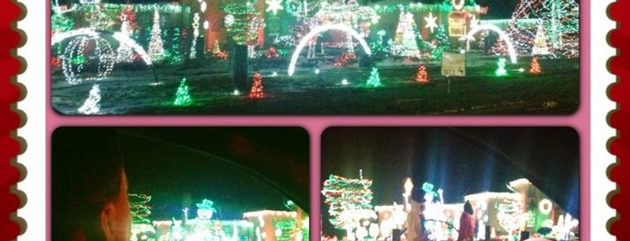 The Best Christmas Lights W/ Radio Show Ever! is one of Y-town is my Town.