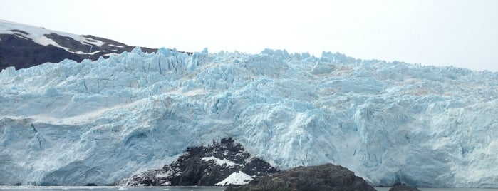 Kenai Fjords National Park is one of Alaska - The Last Frontier.