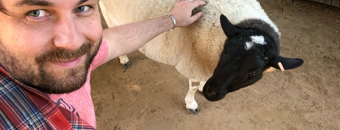 Petting Paddock is one of San Diego.