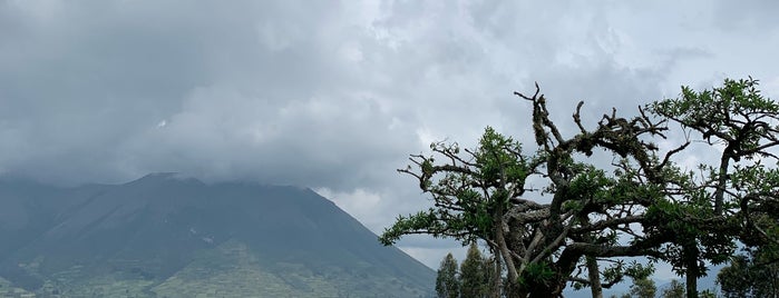 el lechero is one of Quito.