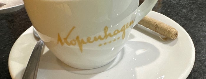 Kopenhagen is one of Fernanda 님이 좋아한 장소.