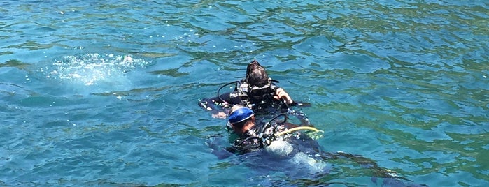 Blue Coral Diving is one of สถานที่ที่ Jaqueline ถูกใจ.