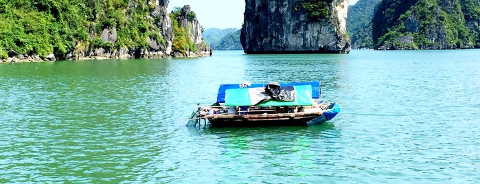 Ha Long Bay Treasure Junk is one of Jaqueline’s Liked Places.