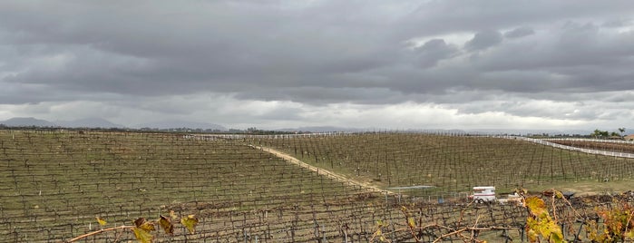 Palumbo Family Winery is one of Temecula Wine Country.
