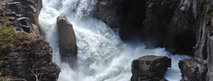 Sunwapta Falls is one of Tempat yang Disukai Kyulee.