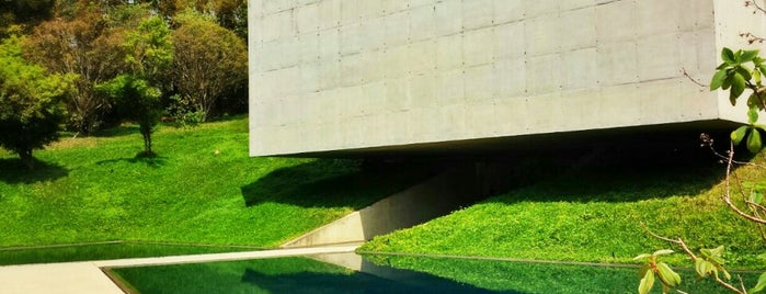 Inhotim Institute is one of Museums and Cultural Treasures.