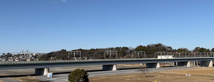 丸子橋公園 is one of お花見ポタ♪.