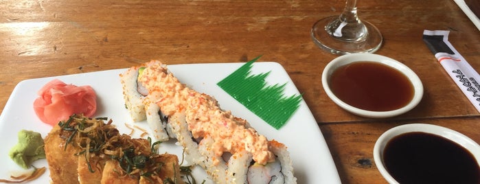 Sushi Togo is one of Medellin Recommendations.