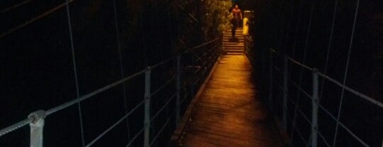 Spruce Street Foot Bridge is one of Andrewさんのお気に入りスポット.