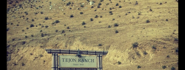 Tejon Ranch is one of Lieux qui ont plu à David.