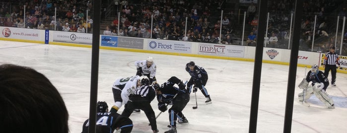 Texas Stars Hockey is one of favorites.