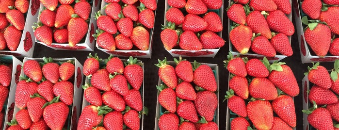 Montclair Farmers Market is one of The 15 Best Places for French Food in Oakland.