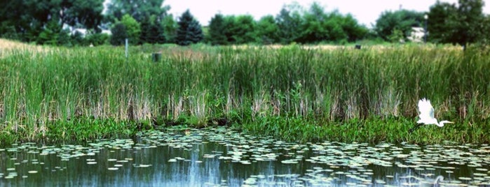 The Glen is one of Ben : понравившиеся места.