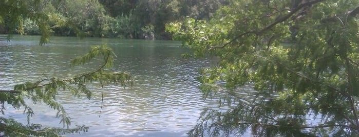Red Bud Isle is one of Top 10 favorites places in Austin, TX.