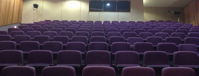 Teatro Armando Bógus is one of Lugares favoritos de Bruno.