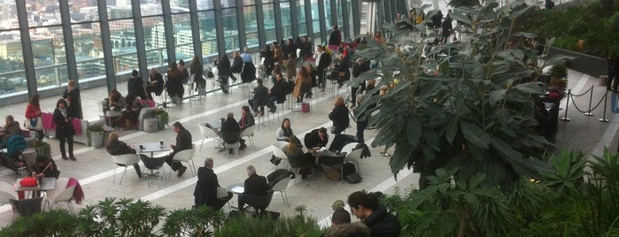 Sky Garden is one of London's Parks and Gardens.