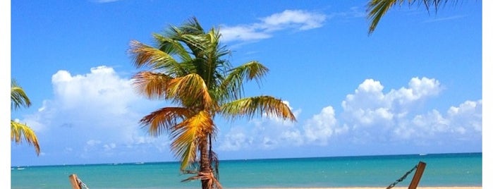 Courtyard by Marriott Isla Verde Beach Resort is one of San Juan , Puerto Rico 🇵🇷.