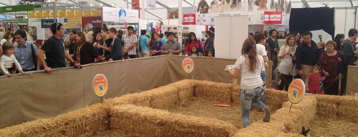 Expo Mascotas & Animales is one of Chile.
