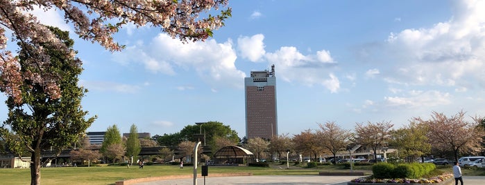 Maebashi Park is one of 観光5.