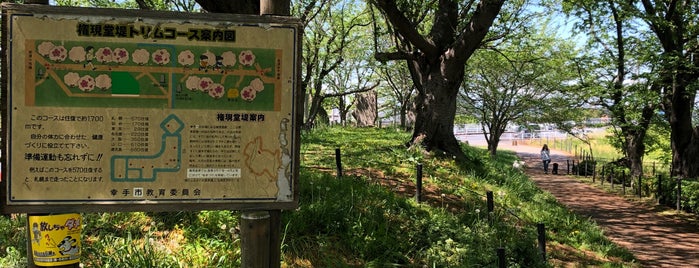 Gongendo Sakura Tsutsumi is one of 景色◎.