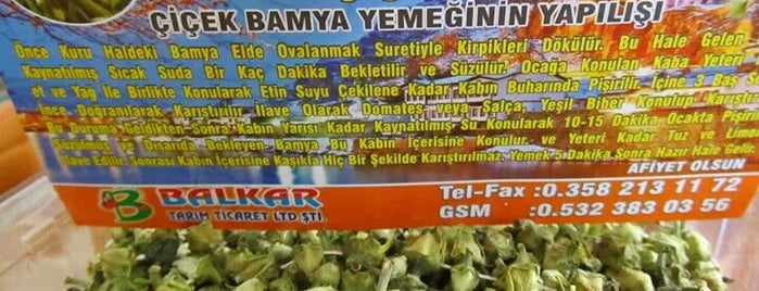 Balkar Tarım is one of Amasya.