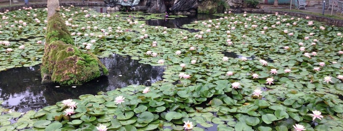 Lotus Lake is one of 台灣玩玩玩.