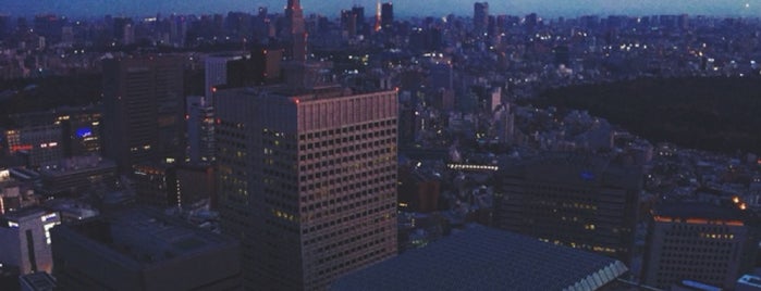 Tokyo Metropolitan Government Building is one of Alejandro’s Liked Places.