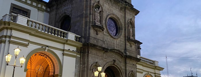 Catedral de Ciudad Guzman is one of Ciudad Guzmán.