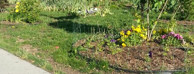 Community Garden at 8th & K NE is one of DC.