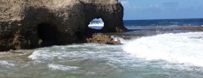 Little Bay is one of Barbados Child-Friendly Beaches.