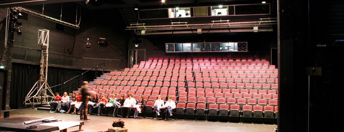 WA Academy of Performing Arts (WAAPA) is one of Mount Lawley Campus.
