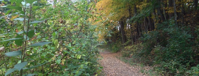 Stillwater River Trail is one of Lugares favoritos de Kirk.