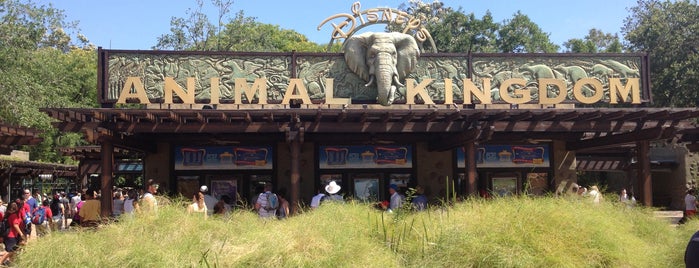 Disney's Animal Kingdom is one of DisneyWorld! 🌎& Florida.