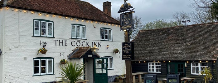 The Cock Inn is one of sports & active.