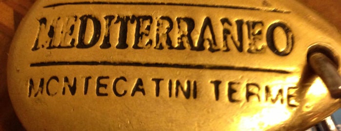 Hotel Mediterraneo is one of Montecatini Terme.