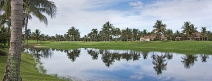Grey Oaks Country Club is one of GOLF.