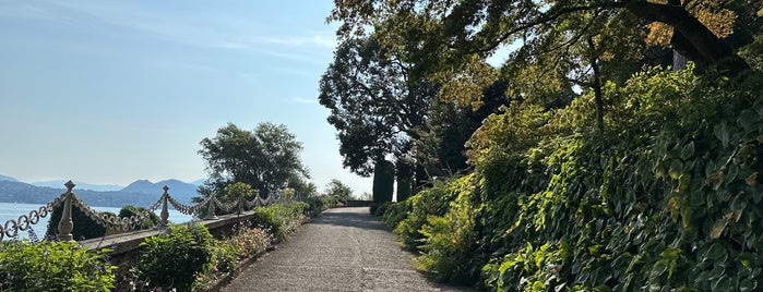 Parco della Villa Pallavicino is one of Stresa 🇮🇹.