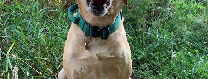 Thousand Acres Dog Park is one of Portland Hikes.