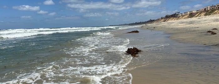 Del Mar Dog Beach is one of Dog Beaches & Parks San Diego.