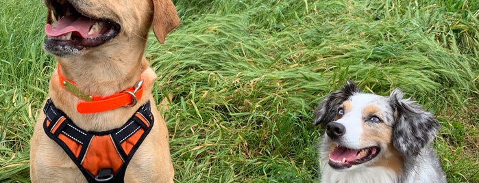 Sandy River Delta Dog Park is one of SW Portland Parks.