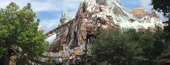 Expedition Everest is one of Lugares favoritos de Alistair.